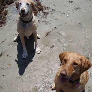 Meet your Posher, Kathleen